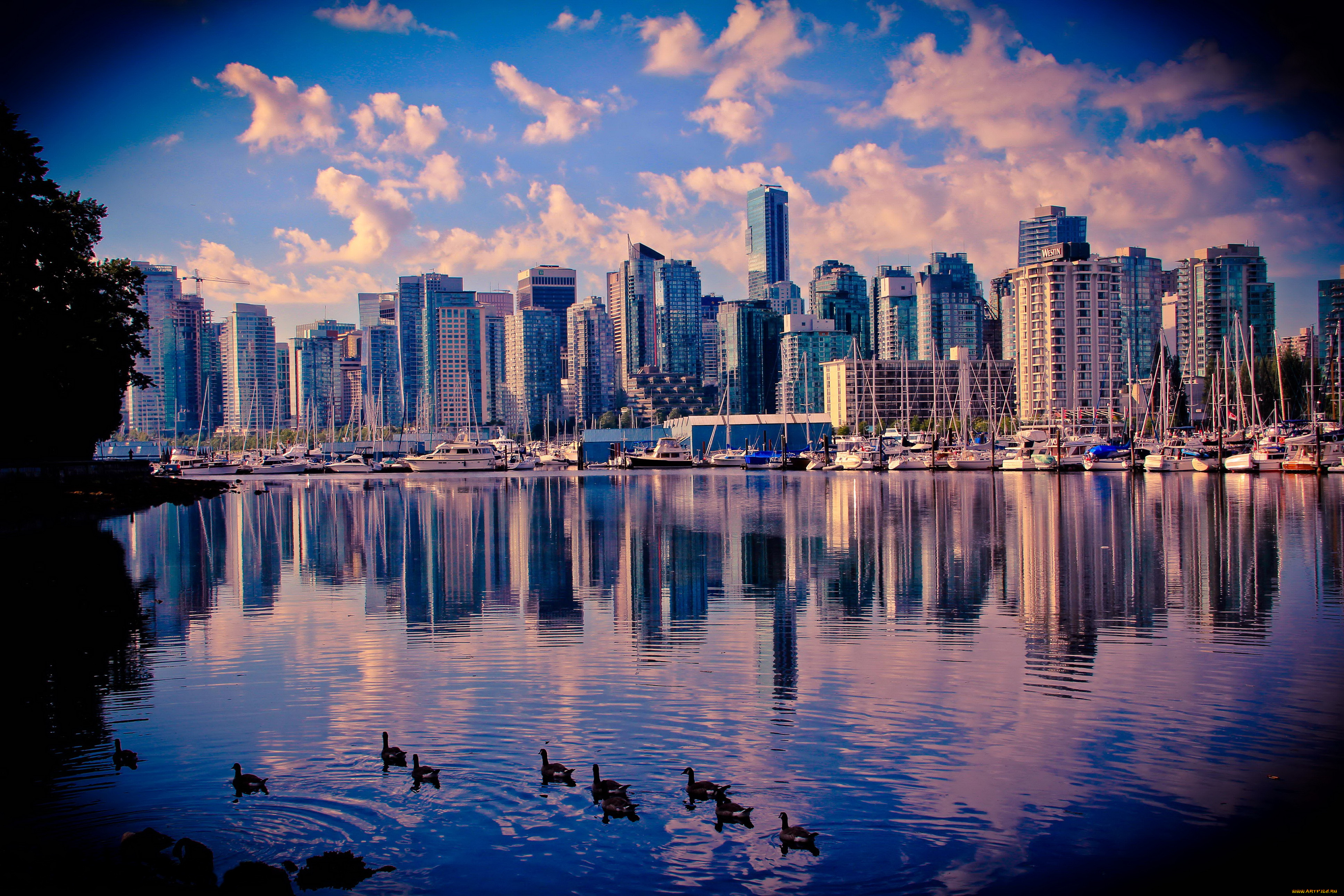 Ванкувер канада. Ванкувер озеро в Канаде. Канада Ванкувер обои. Ванкувер озеро небоскребы.